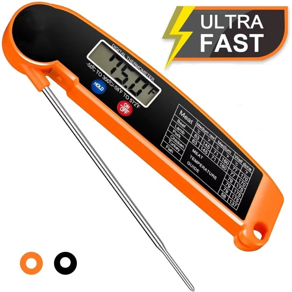 Electronic Thermometer