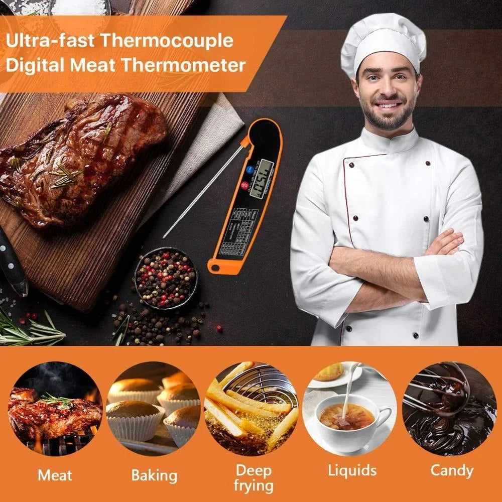 Electronic Thermometer
