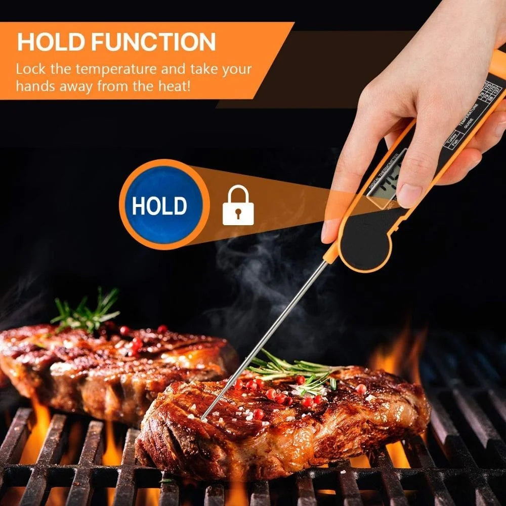 Electronic Thermometer