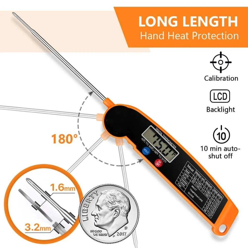Electronic Thermometer